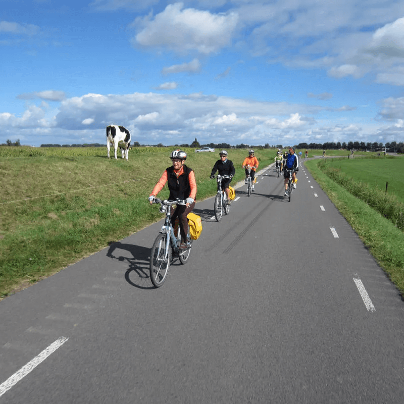 Webdesign Zwanenburg, Project Direct, Timo van Tilburg, Snel een Webdesigner Zwanenburg, Website laten maken Zwanenburg, Website laten bouwen Zwanenburg, SEO Zwanenburg, SEA Zwanenburg, Online Marketing Zwanenburg, Wordpress Zwanenburg, Zoekmachine optimalisatie Zwanenburg